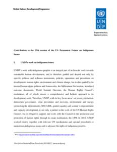 Microsoft Word - UNDP Report for UNPFII 2013 on letterhead.doc