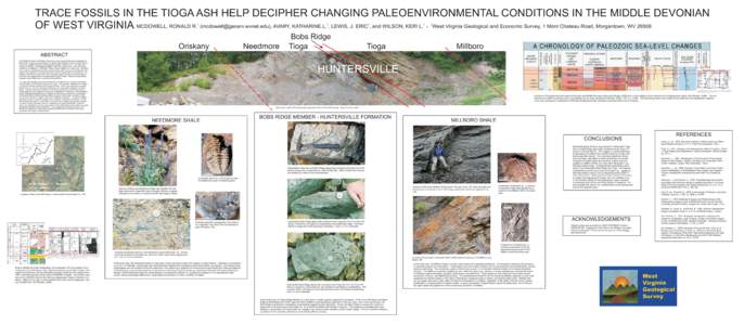 TRACE FOSSILS IN THE TIOGA ASH HELP DECIPHER CHANGING PALEOENVIRONMENTAL CONDITIONS IN THE MIDDLE DEVONIAN OF WEST VIRGINIA MCDOWELL, RONALD R. (), AVARY, KATHARINE L. , LEWIS, J. ERIC , and WILS