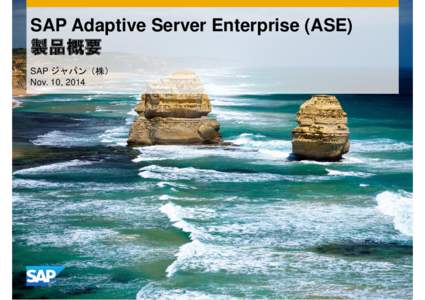 SAP Adaptive Server Enterprise (ASE) SAP Nov. 10, 2014 SAP SAP