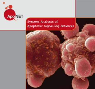 Systems Analysis of Apoptotic Signalling Networks Contents Introduction.......................................... 1 On the TRAIL of Suicidal Cells2