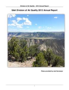 Division of Air Quality – 2013 Annual Report  Utah Division of Air Quality 2013 Annual Report Photo provided by Joel Karmazyn