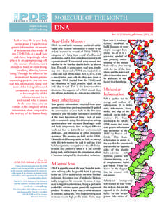 MOLECULE OF THE MONTH: www.rcsb.org [removed] DNA doi: [removed]rcsb_pdb/mom_2001_11