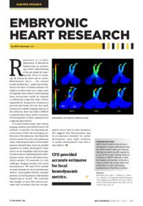 ACADEMIC RESEARCH  EMBRYONIC HEART RESEARCH By ANSYS Advantage Staff