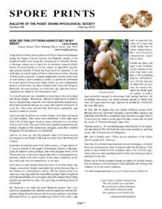 SPORE PRINTS BULLETIN OF THE PUGET SOUND MYCOLOGICAL SOCIETY Number 489 February 2013