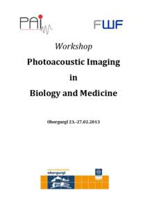 Workshop Photoacoustic Imaging in Biology and Medicine Obergurgl