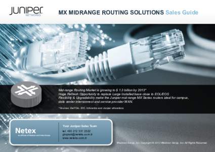 Juniper Networks MX Series Routing Solutions Sales Guide - Netex