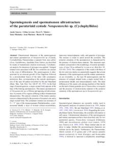 Parasitol Res DOIs00436ORIGINAL PAPER  Spermiogenesis and spermatozoon ultrastructure