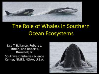 The Role of Whales in Southern Ocean Ecosystems Lisa T. Ballance, Robert L. Pitman, and Robert L. Brownell, Jr. Southwest Fisheries Science