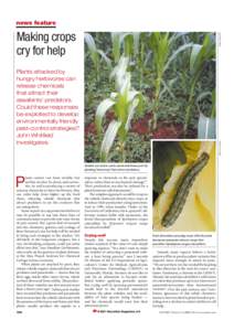 news feature JOHN PICKETT Making crops cry for help
