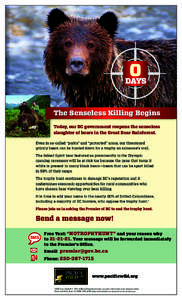 0 DAYS The Senseless Killing Begins Today, our BC government reopens the senseless slaughter of bears in the Great Bear Rainforest. Even in so-called “parks” and “protected” areas, our threatened