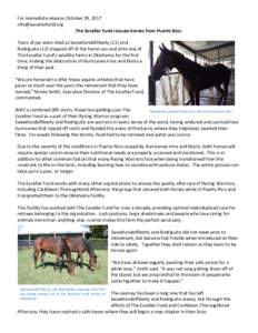 For immediate release: October 29, 2017  The Exceller Fund rescues horses from Puerto Rico. Tears of joy were shed as Sweetlandofliberty (11) and Rodriguito (12) stepped off of the horse van and onto