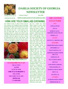 DAHLIA SOCIETY OF GEORGIA NEWSLETTER Volume 6, Issue 7 BO-BAY B-SC– LB Y/L FLOWER OF THE YR
