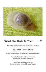 “What the Heck Is That . . . ?” A Field Guide to Treasures of Florida Gulf Bays by James Tanner Stults A field guide designed for volunteers in association with: Sarasota Bay Watch & Sarasota County