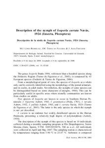 Description of the nymph of Isoperla curtata Navás, 1924 (Insecta, Plecoptera) Descripción de la ninfa de Isoperla curtata Navás, 1924 (Insecta,