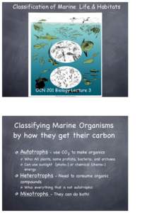Classification of Marine Life & Habitats  OCN 201 Biology Lecture 3 Classifying Marine Organisms by how they get their carbon