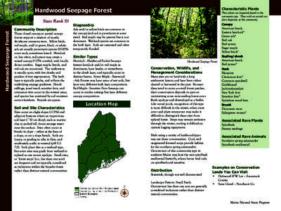 Hardwood Seepage Forest  Hardwood Seepage Forest State Rank S3 Community Description