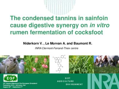 The condensed tannins in sainfoin cause digestive synergy on in vitro rumen fermentation of cocksfoot Niderkorn V. , Le Morvan A. and Baumont R. INRA Clermont-Ferrand-Theix centre