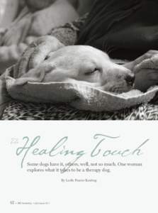 Healing Touch  The Some dogs have it, others, well, not so much. One woman explores what it takes to be a therapy dog.