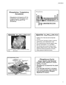Microsoft PowerPoint - 18phosphates