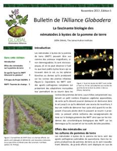Novembre 2017, Édition 5  Bulletin de l’Alliance Globodera La fascinante biologie des nématodes à kystes de la pomme de terre John Jones, The James Hutton Institute