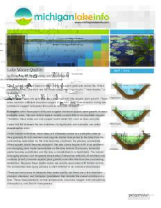 Lake Water Quality  Aprilby Tony Groves, Pam Tyning, and Paul Hausler Progressive AE