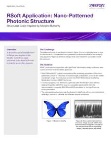 Application Case Study  RSoft Application: Nano-Patterned Photonic Structure Structured Color Inspired by Morpho Butterfly