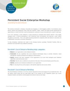 Solution Brief Social Enterprise Workshop  Persistent Social Enterprise Workshop