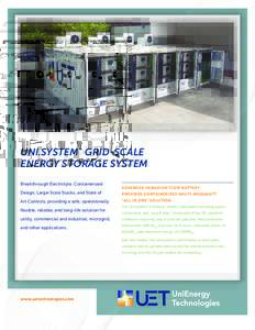 UNI.SYSTEM™ GRID-SCALE ENERGY STORAGE SYSTEM Breakthrough Electrolyte, Containerized ADVANCED VANADIUM FLOW BATTERY