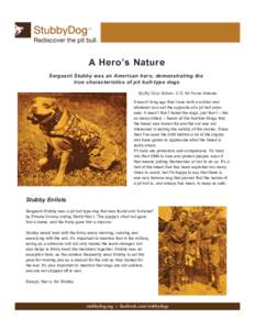 A Hero’s Nature Sergeant Stubby was an American hero, demonstrating the true characteristics of pit bull-type dogs By By Cory Grimm, U.S. Air Force Veteran It wasn’t long ago that I was both a soldier and whatever yo