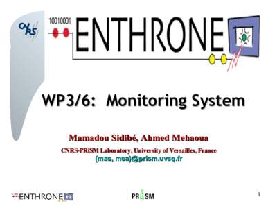 WP3/6: Monitoring System Mamadou Sidibé, Ahmed Mehaoua CNRS-PRiSM Laboratory, University of Versailles, France {mas, mea}@prism.uvsq.fr