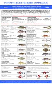 POTOMAC RIVER FISHERIES COMMISSION SPORT FISHING IN THE TIDAL POTOMAC RIVER LEGAL SIZES, LIMITS AND OTHER RESTRICTIONS 2018