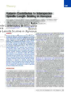 Katanin Contributes to Interspecies Spindle Length Scaling in Xenopus