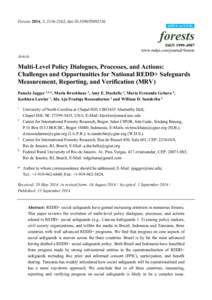 Multi-Level Policy Dialogues, Processes, and Actions: Challenges and Opportunities for National REDD+ Safeguards Measurement, Reporting, and Verification (MRV)