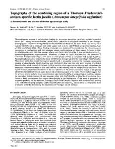 831  Biochem. J[removed], [removed]Printed in Great Britain) Topography of the combining region of a Thomsen-Friedenreichantigen-specific lectin jacalin (Artocarpus integrifolia agglutinin) A thermodynamic and circula