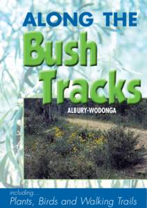 along the  Bush  Tracks Albury-Wodonga