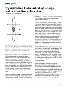 Physicists find that an ultrahigh-energy proton looks like a black disk