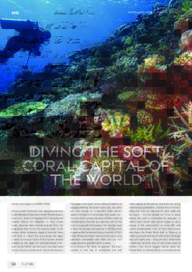 Healthy corals and diver, King Kong, Kadavu, Fiji  DIVE Diving the soft coral capital of