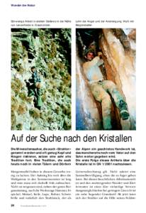 Wunder der Natur  Schwierige Arbeit in steilem Gelände in der Nähe von Lenzerheide in Graubünden.  Lohn der Angst und der Anstrengung: Kluft mit