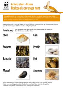 Activity sheet - Oceans GO WILD DOWNLOAD Rockpool scavenger hunt  Although rockpools are a great place to find aquatic life, they can also be dangerous areas to play.