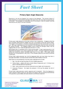Fact Sheet Primary Open Angle Glaucoma Glaucoma is not just one disease, but a group of eye diseases. The common feature of these diseases is a characteristic damage to the optic nerve; the nerve that connects the eye to