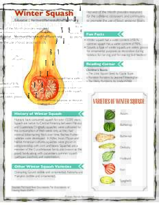 Food and drink / Cucurbitaceae / Winter squash / Kabocha / Summer squash / Pumpkin / Cucurbita / Zucchini / Fruit / Cucumber / Squash / Melon
