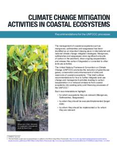 Climate change mitigation activities in coastal ecosystems Recommendations for the UNFCCC processes The management of coastal ecosystems such as mangroves, saltmarshes and seagrasses has been