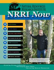 NRRI Now WinterBred for biomass