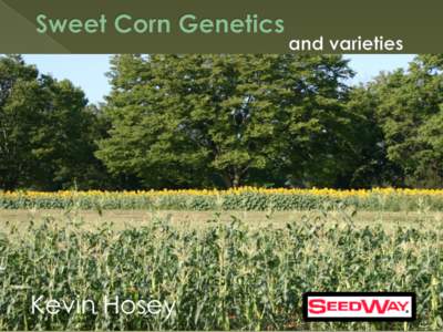 Kevin Hosey  Choosing Sweet Corn is an art…. Growers have to balance these needs: •Maturity – spreading out your harvest
