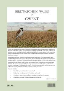 BIRDWATCHING WALKS IN GWENT  Gwent has an astonishing range of habitats, from the Wye valley and its ancient woodland in