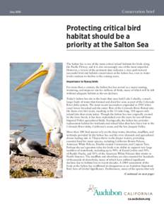 Conservation brief  July 2016 Protecting critical bird habitat should be a