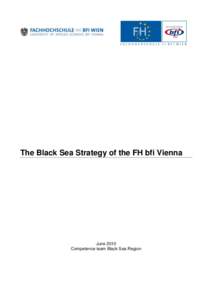 The Black Sea Strategy of the FH bfi Vienna  June 2010 Competence team Black Sea Region  Table of Contents