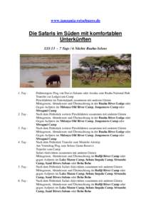Safari_Tanzania_Sueden_Lodge_13