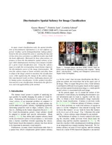 Discriminative Spatial Saliency for Image Classification Gaurav Sharma1,2 , Fr´ed´eric Jurie1 , Cordelia Schmid2 1 GREYC, CNRS UMR 6072, Universit´e de Caen 2 LEAR, INRIA Grenoble Rhˆone-Alpes