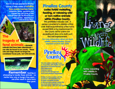 Even in densely populated Pinellas  wildlife has made homes here.  County, a wide variety of